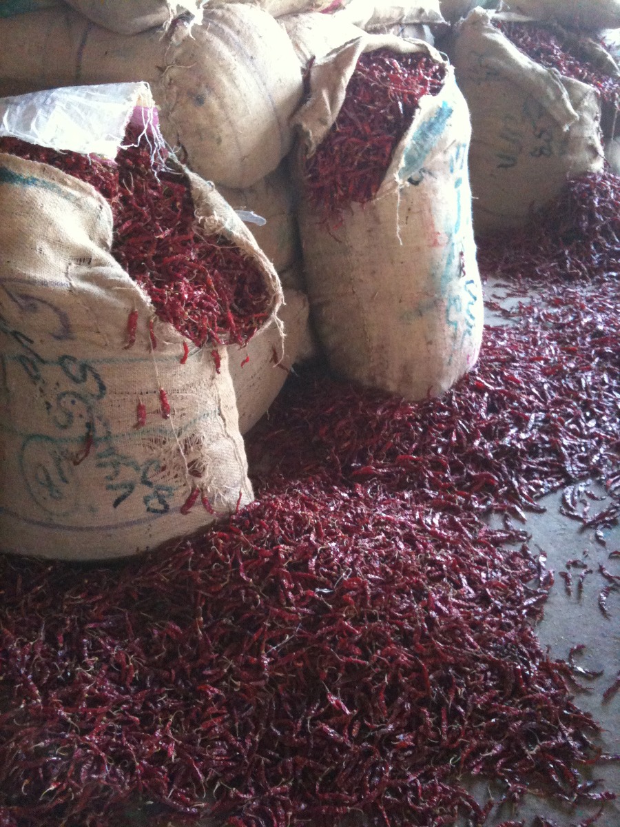 Chillies Traders in India